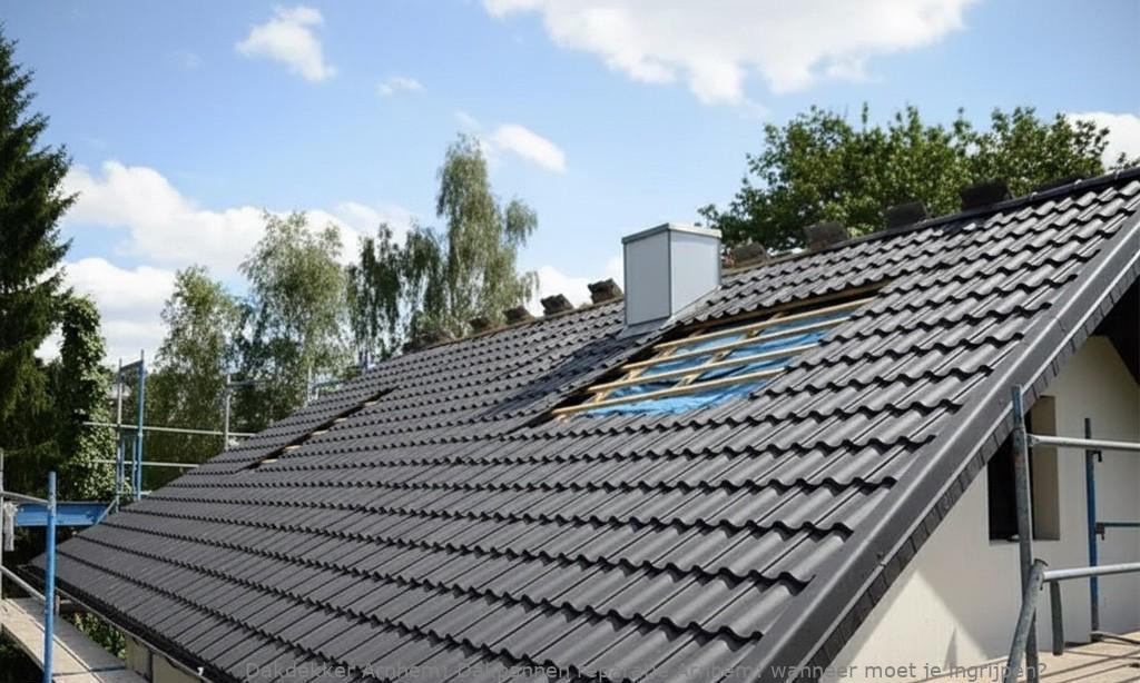 Dakpannen Reparatie Arnhem 1