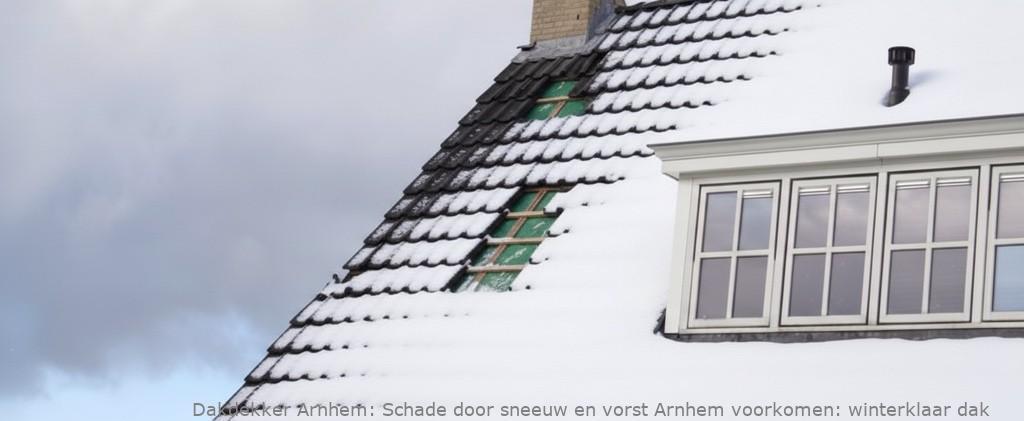 Schade Door Sneeuw En Vorst Arnhem
