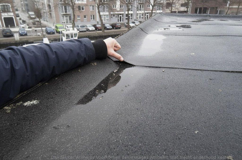 Voorkomen Daklekkages Arnhem